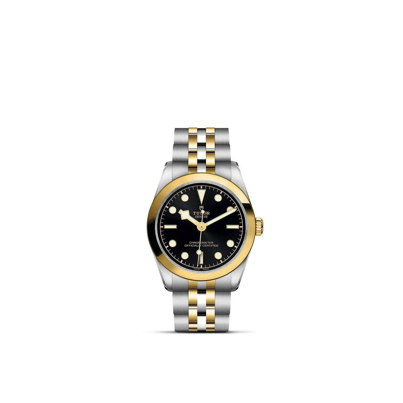 Tudor Watch TUDOR BLACK BAY 31MM STEEL AND GOLD M79603-0001