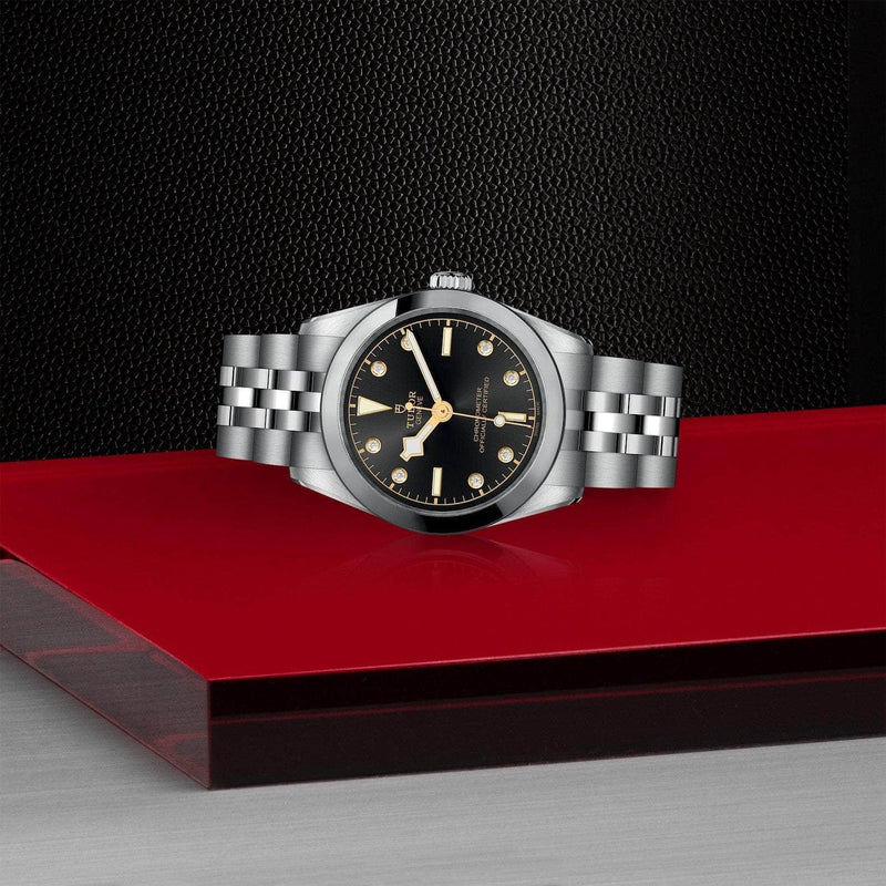 Tudor Watch TUDOR BLACK BAY 31MM M79600-0004