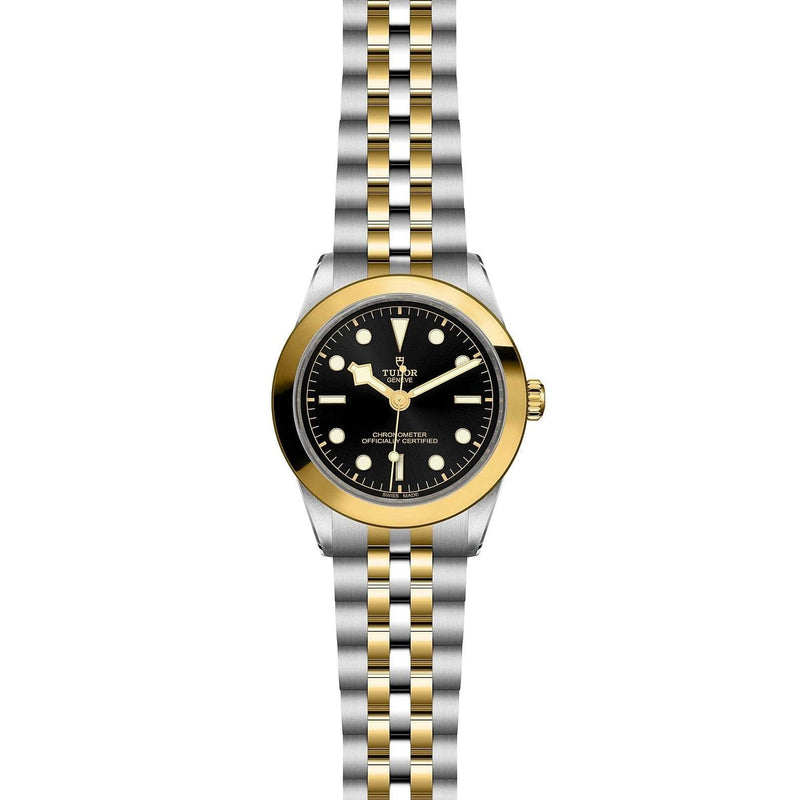 Tudor Watch TUDOR BLACK BAY 39MM M79663-0001