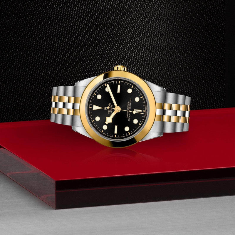 Tudor Watch TUDOR BLACK BAY 39MM M79663-0001